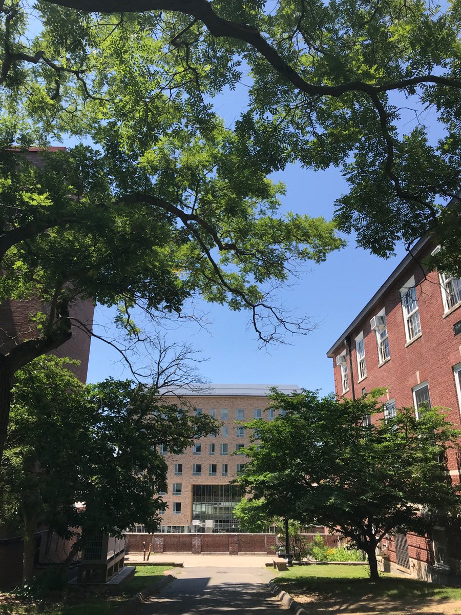 UMassAmherst's tweet photo. Those second-day-of-summer vibes have us feeling pretty good. ☀️ https://t.co/T6fdLWgq6R