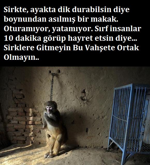 Bunu Herkesin görmesi için paylaşımınızı rica ediyorum..