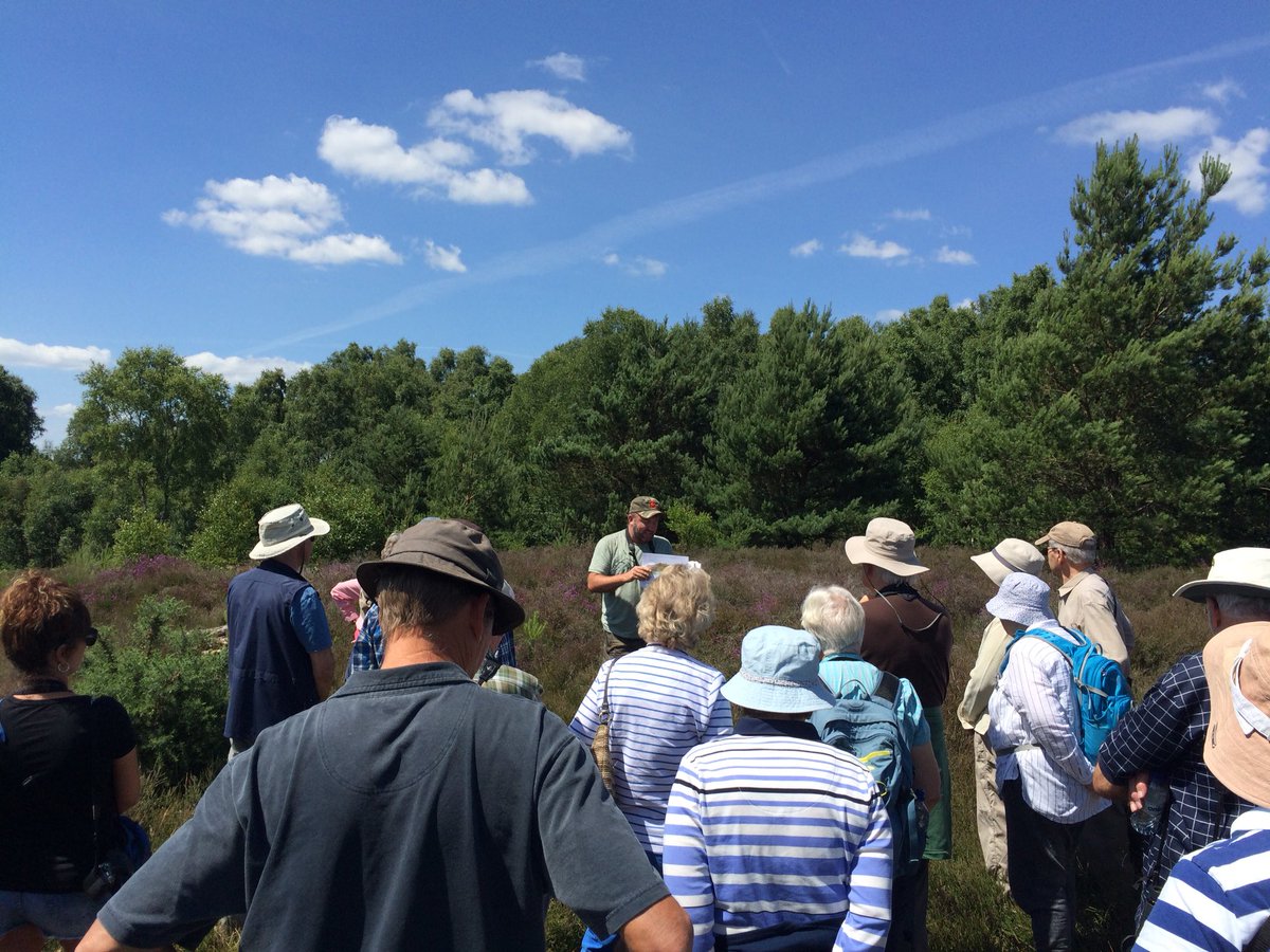 CharlieHell4's tweet image. Enjoyed taking part in @SussexWildlife guided walk yesterday showing the wildlife treasures of Iping Common. Led by the wonderful Michael Blencowe  &amp;amp; Jane Willmott #HelptheHeaths @sdnpa