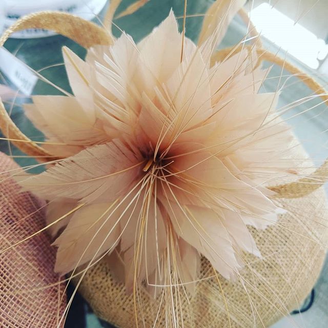 sgall__'s tweet photo. Auntie of the bride - is that a thing? Of course it is! #julywedding #hats #millinery #scottishmilliner #madeinscotland #madetomeasure #featherflower #milliner #motherofthebride #motherofthegroom #weddingguest https://t.co/NkjSUWTSNC