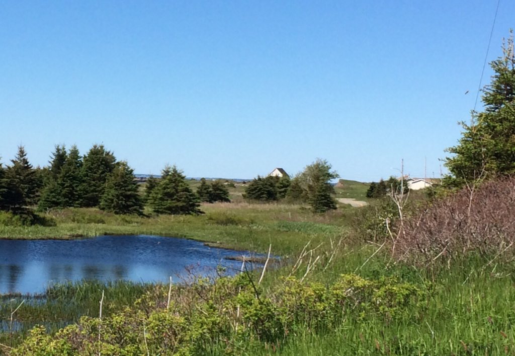 CBLiving's tweet photo. Halfway up Chapel Cove Rd #capebretonliving #novascotia https://t.co/QSwPqbqmT8