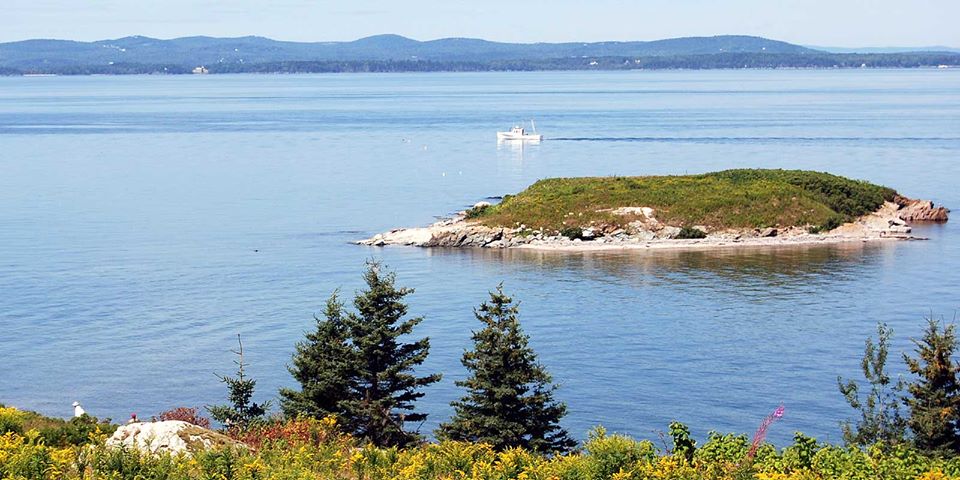 MCHT_org's tweet photo. On Pond Island, our 32-acre island preserve in Penobscot Bay, you’ll find a mile of beach, salt pond, salt marsh, meadows, dunes, spruce-fir forest, and a hill with a view. Want to spend the night under the stars? Pond Island hosts two campsites. https://t.co/aS82ry0nLt https://t.co/jRPB70uVHP