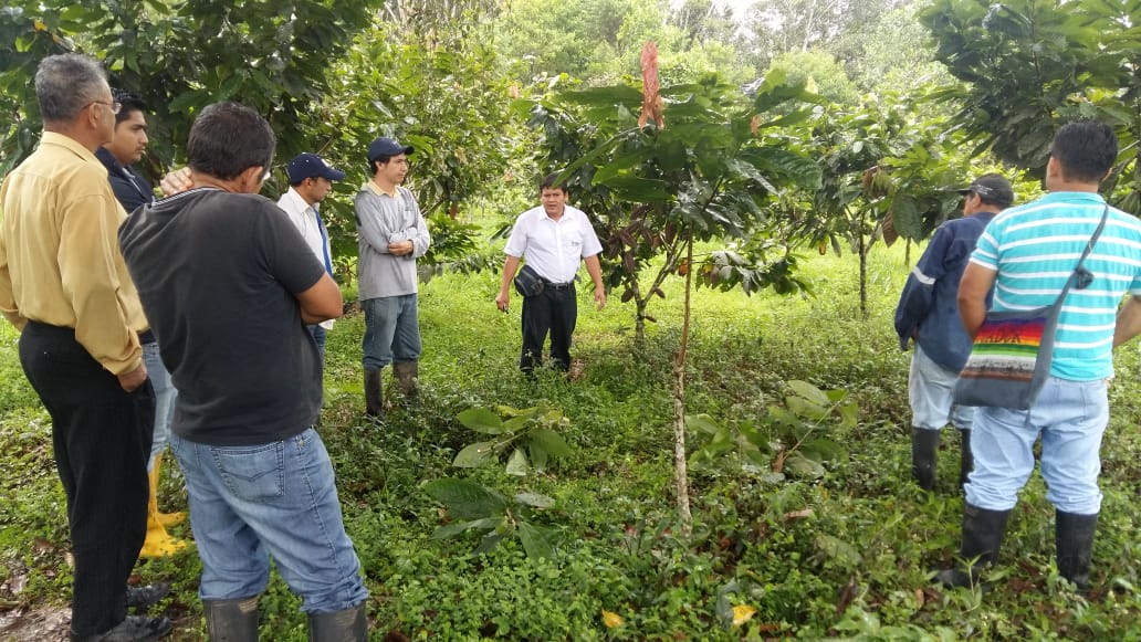 Pato_Benalcazar's tweet photo. #CaféYCacaoEc | Equipo técnico de la Asociación de Pequeños Exportadores Agropecuarios Orgánicos del Sur de la Amazonía Ecuatoriana #APEOSAE recibieron capacitación por parte de @AgriculturaOro.
#GranMingaAgropecuaria
@rubenfloresEC https://t.co/x7ac62Y2ke