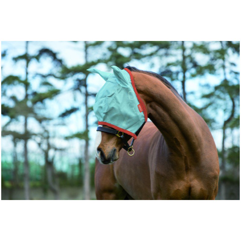 RidingWearWS5's tweet photo. Horseware Amigo Fly Mask @RidingWearWS5 https://t.co/dPZuzbckmo