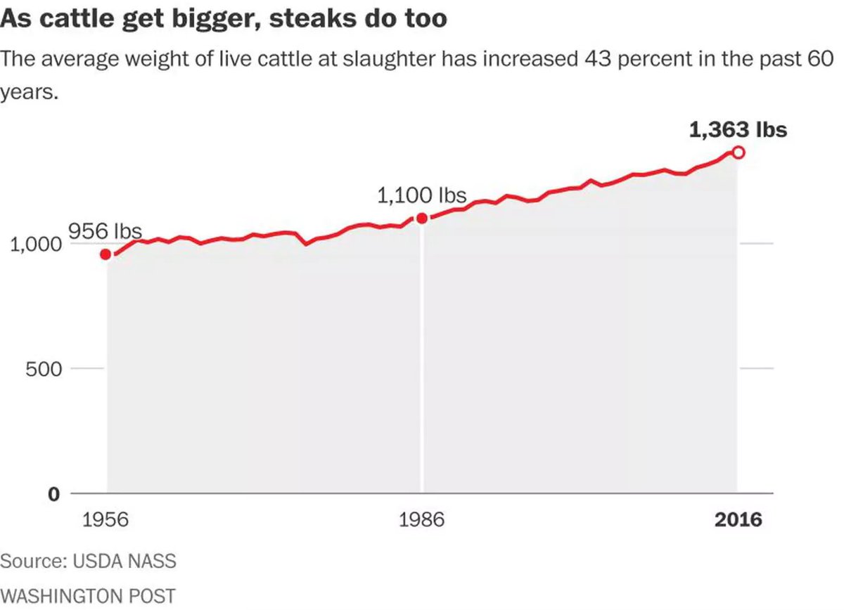 Rosewood_Farm's tweet image. Cattle may have increased in size by 43% since 1956 but #Dexters are the perfect size for meals &amp;amp; #meadows alike! Half as pricey but twice as tasty...

facebook.com/rosewoodfarms/…