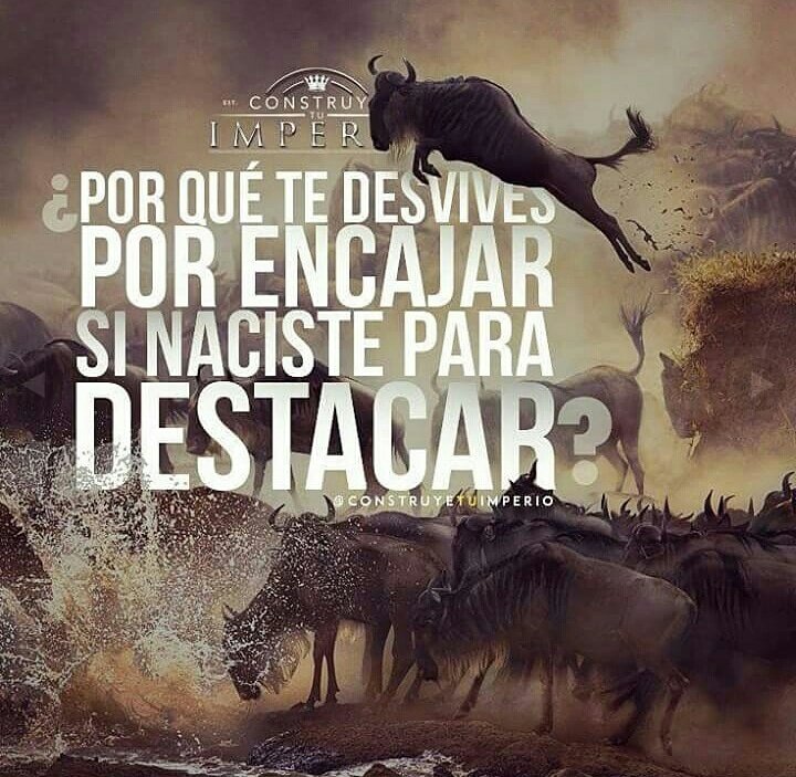 Enderezatumente's tweet image. Querer encajar en una sociedad que está enferma, no es estar del todo sano.&apos;
¿Por qué tratas tanto de encajar cuando naciste para sobresalir?