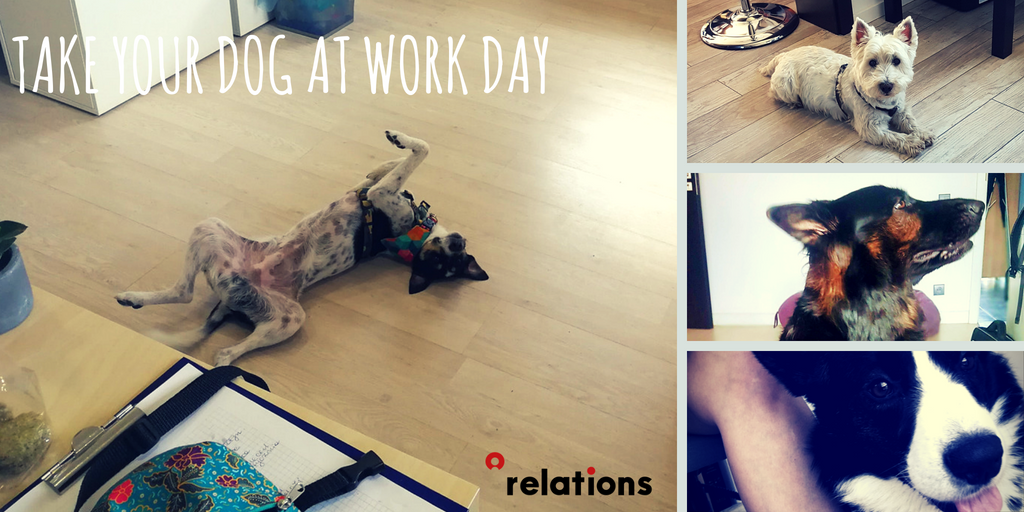 dotrelationsPL's tweet photo. Dziś #TakeYourDogToWorkDay 😍 Czyli dzień jak co dzień w #dotrelations.
Pozdrawiamy i Wasze psiaki! 🐶🐶🐶 https://t.co/pwE42O3iAp
