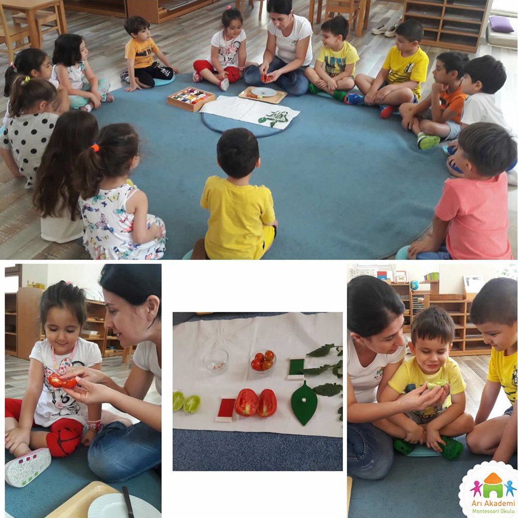 AriAkademi's tweet photo. Bu haftanın konusu domates. Çocuklarımız yakında inceleme fırsatı buldular 😊
#montessori #yazokulu #montessoriokulu
➤ https://t.co/0E30EJpfSh https://t.co/6SycClfqiy