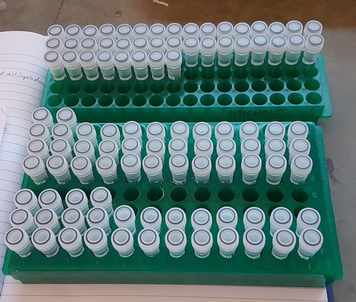 Sometimes lab work puts you firmly in your place, the place named 'general minion'.....like when you have to label >100 little tubes by hand @NIHR_trainees