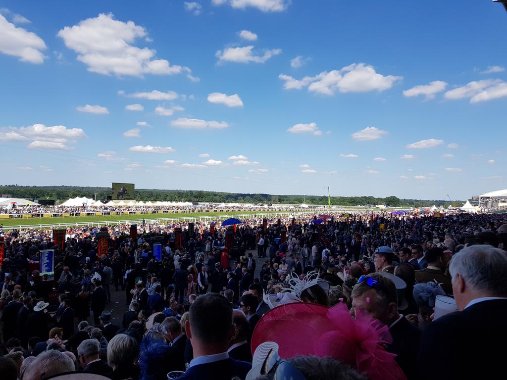Pro_Horse_tips's tweet photo. Brilliant Day! Great weather 😎

#RoyalAscot #HorseRacingtips https://t.co/1QgoXXjzY9