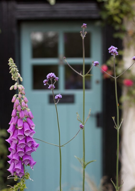 Devon Wildlife Trust tweet media