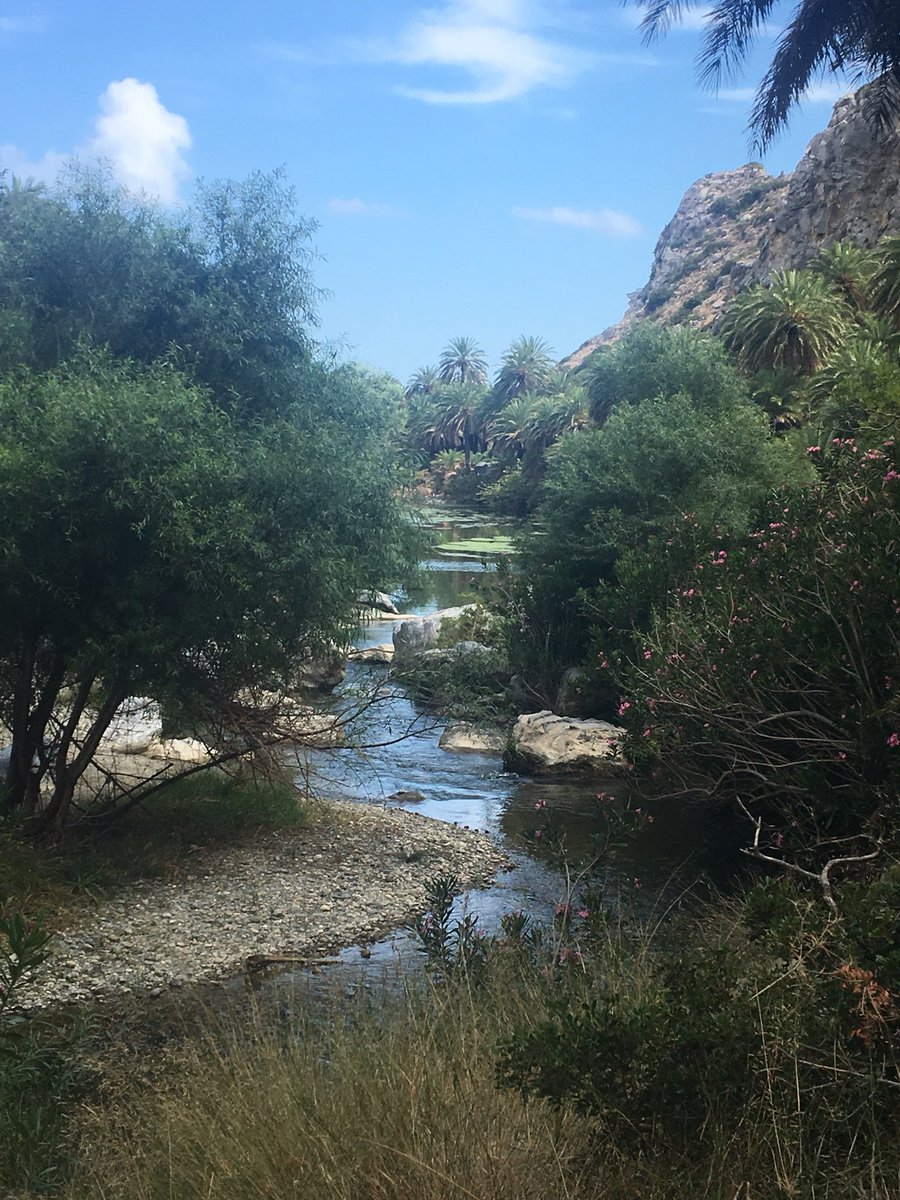 LouClem1's tweet photo. #Preveli Beach #Crete 400 steps down but what a #beautiful #view #Greece #holiday #travel https://t.co/qKjQynpvUr