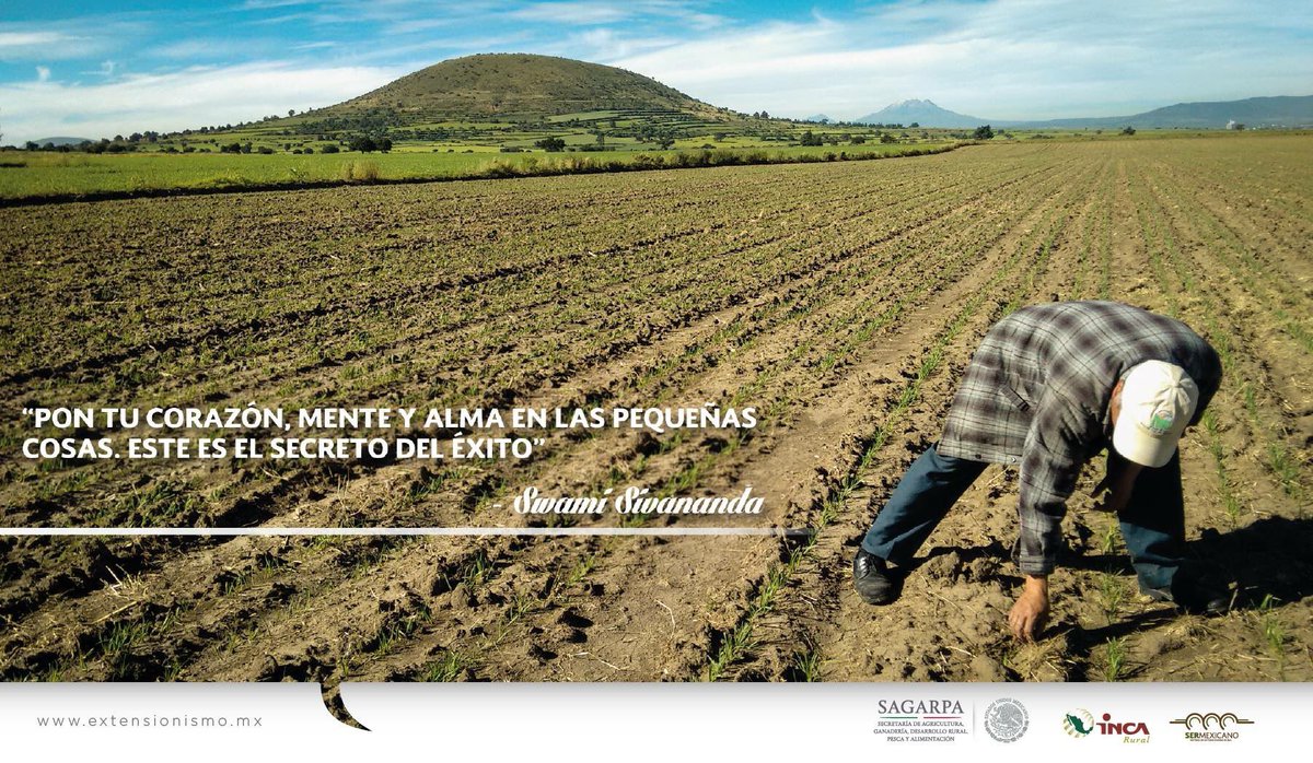 Extensionismo México (@extensionismomx) on Twitter photo Y es que cuando ponemos nuestro empeño en cada actividad que realizamos, la satisfacción es indescriptible, el éxito llegará sólo. <a href="/BaltazarxTam/">Baltazar Hinojosa O.</a> Y es que cuando ponemos nuestro empeño en cada actividad que realizamos, la satisfacción es indescriptible, el éxito llegará sólo. <a href="/BaltazarxTam/">Baltazar Hinojosa O.</a>