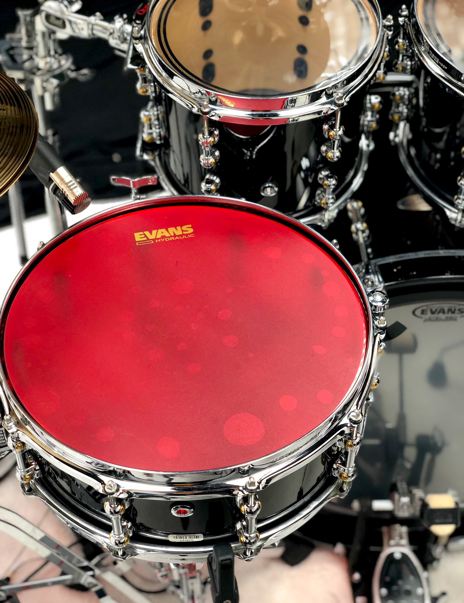 evans red drum heads