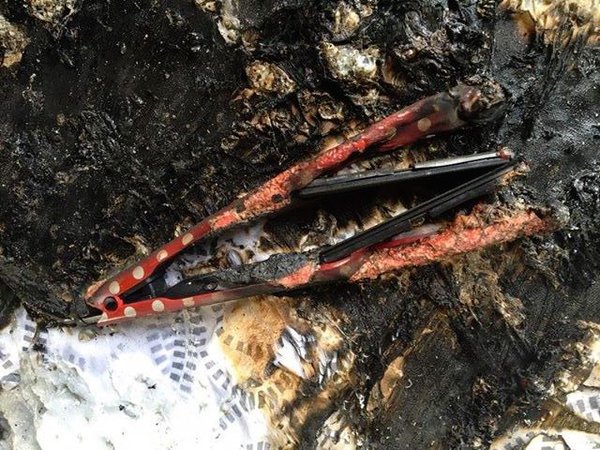 ElecSafetyFirst's tweet photo. Going out tonight?

Remember to switch off and unplug your hair straighteners or curlers - otherwise you could be coming home to this! #FridayFeeling https://t.co/GyESMUCDwE