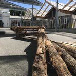 Plus que quelques heures avant le début du vernissage « habiter la frontière » des diplômé(e)s de l’@EESI_ESA ! Rendez-vous à 19h ☀️ 