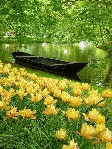 Harmony_1beauty's tweet photo. ( قال أخرقتها لتغرق أهلها)

الظاهر... إبتلاء

الواقع... فرج

كم خرقت لنا الأيام من سفن...

فاشتكينا وبكينا، ولم نعلم إلا بعد سنوات،

ان الله نجانا بها من ضرر أكبر

كونوا علي يقين...

لله لطف خفي لا تدركه ضآلة أبصارنا. https://t.co/mTQ5BWcJER