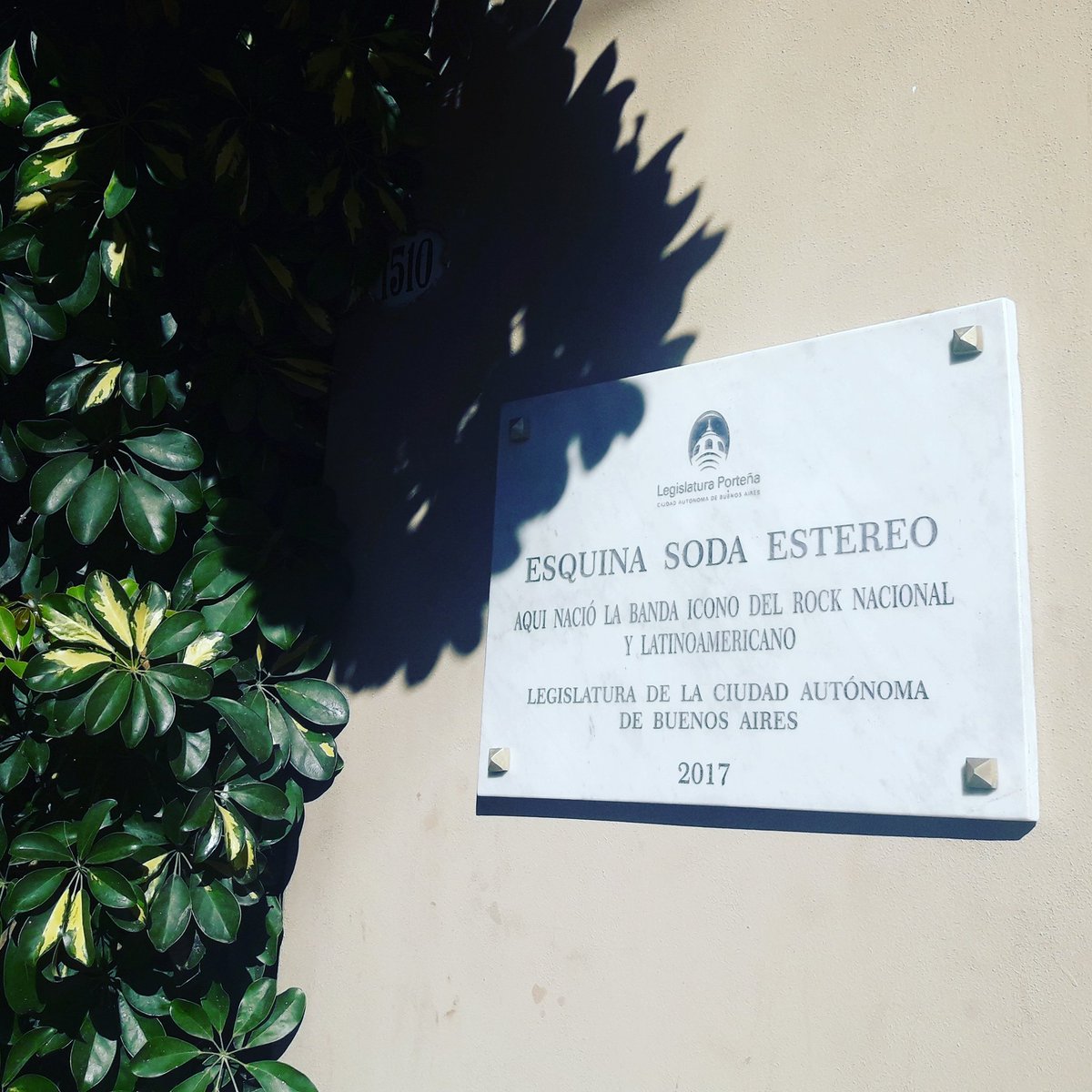 Valeria Sampedro tweet media