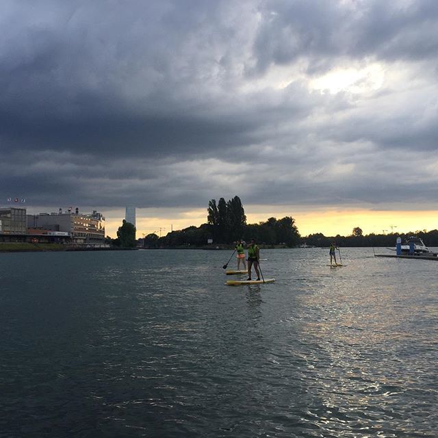 project7iii's tweet photo. Fantastischer Einsteigerkurs von gestern Abend. Jetzt anmelden für nächste Woche!
#rhein #sup #supbasel #rochetower #baselerleben #baselentdecken #lovebasel #baselswizz
#naishschweiz https://t.co/PZEb2OYbqm https://t.co/RarwHFfbFJ