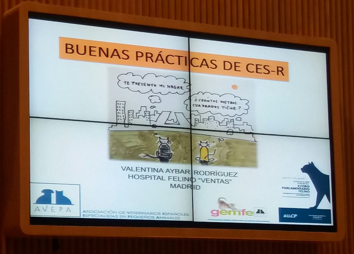 Empieza <a href="/AybarValentina/">Valentina Aybar</a> presidenta de    <a href="/GEMFEAvepa/">GEMFE</a>  Buenas practicas de #CES #veterinaria #losgatosenelcongreso