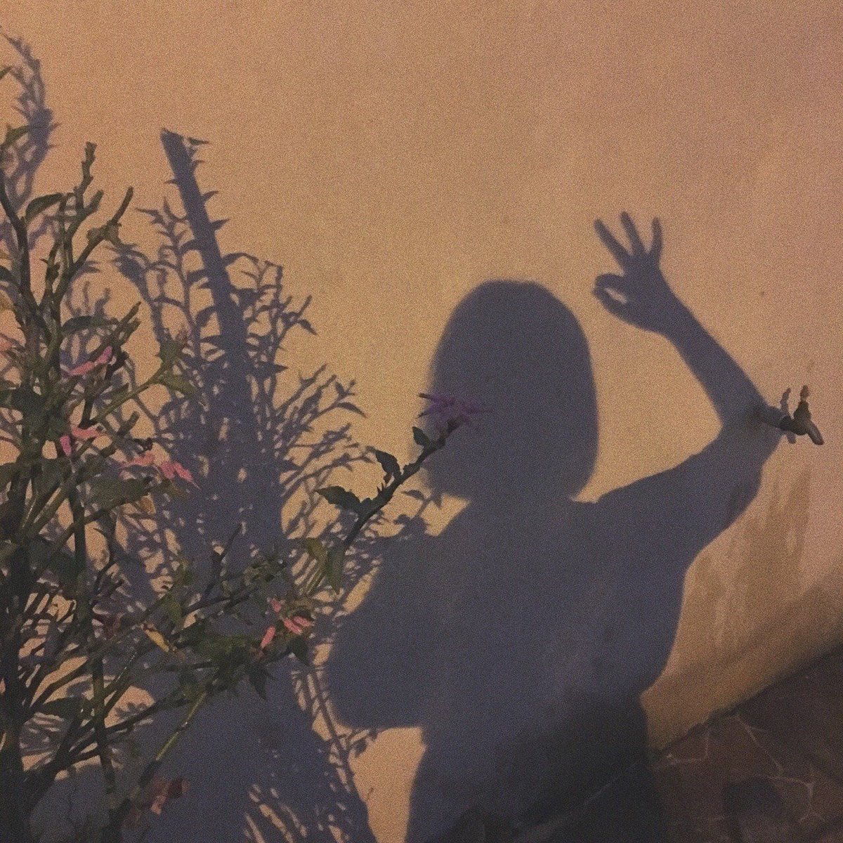 ✷  　 ·  
  　  ✩     　     𝓚𝗶𝗺 𝓔𝘀𝘁𝗵𝗲𝗿　　　
  ˚   .  * 　.    ❛ 𝒃𝒆 𝒚𝒐𝒖𝒓𝒔𝒆𝒍𝒇。❜

        ༊ 𝓦𝗿𝗶𝘁𝗲𝗿 𝓞𝗰 ⋆ 𝓣𝗋𝖺𝗂𝗇𝖾𝖾 𝓐𝗎
            ༊ ʟɪᴛᴇʀᴀᴛᴇ ᴀɴᴅ ᴅᴇᴛᴀɪʟᴇᴅ
                   ࿐ ✦ #σяρнις

                        ↻  ⁺  ♡