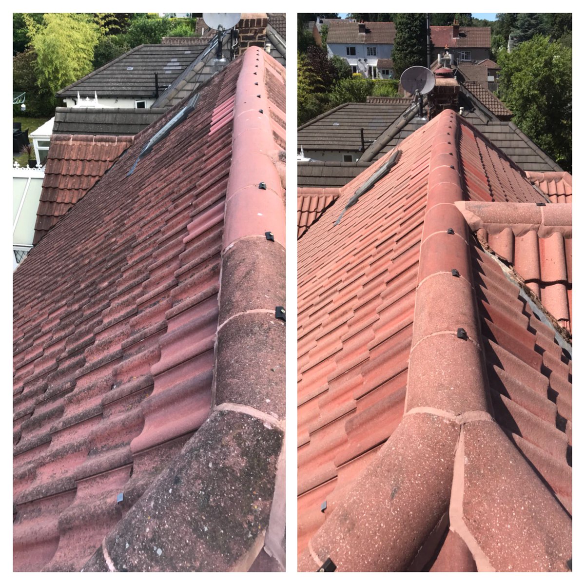 roofshine's tweet image. 