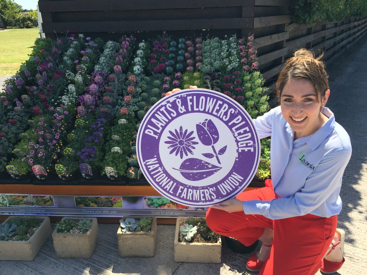 An important day spent hosting and supporting the <a href="/NFUtweets/">National Farmers' Union</a> #NFUPlantsandFlowersPledge launch with <a href="/AldiUK/">Aldi Stores UK</a> the first signatory and Lovania leading the way #leaders #buybritish #homegrown lovania.co.uk/aldi-nfu-plant…