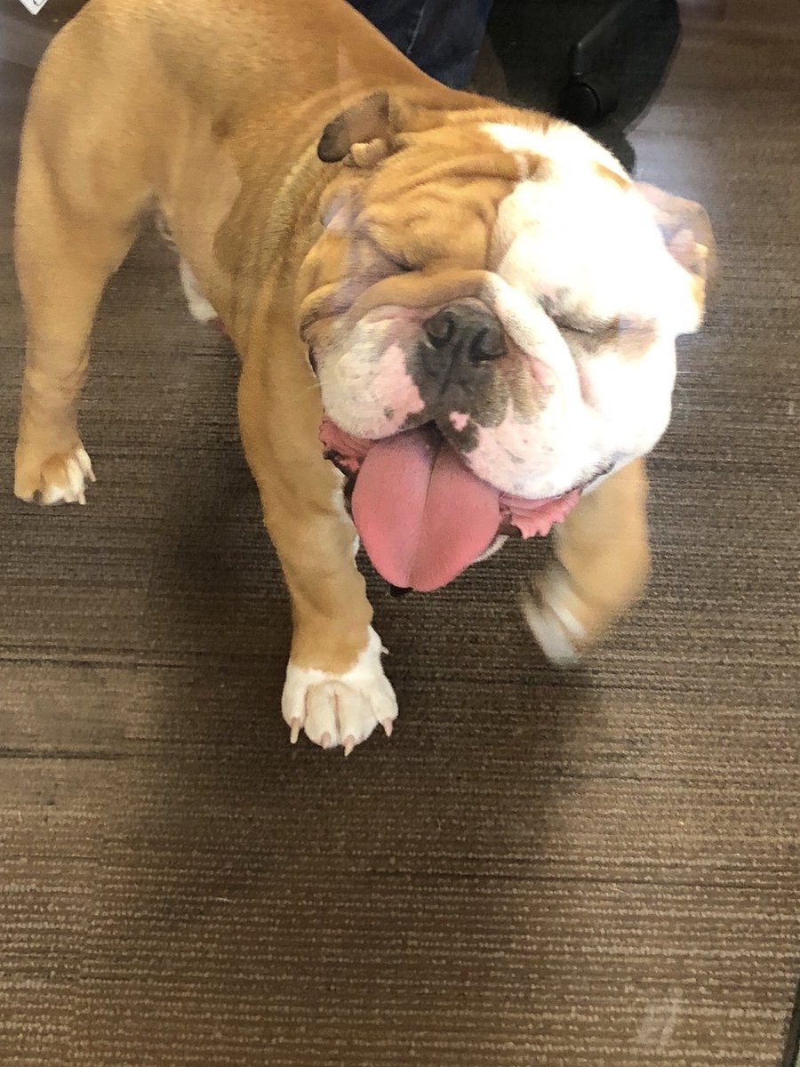 Brian Taffora tweet media