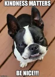 Happy Friday, y'all! Have a lovely weekend!