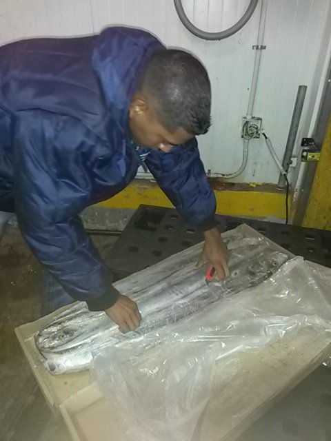 🔴<a href="/corpovex_VE/">Corpovex</a> realizó reconocimiento en planta de 75 toneladas de pescado tipo Tahalí de nuestro cliente Granja Agroecológica Demeter, C.A para ser exportados próximamente con destino a Haiphong, Vietnam