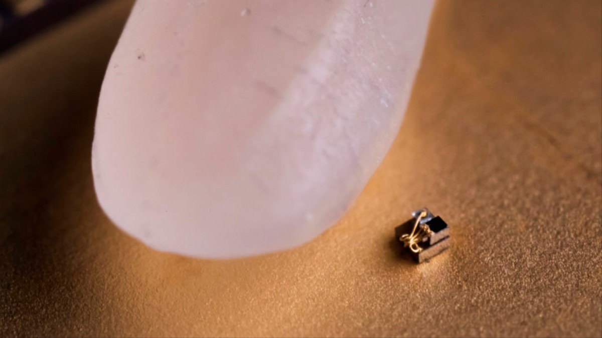 The World's Smallest Computer Can Fit on the Tip of a Grain of Rice dlvr.it/QY9qWJ