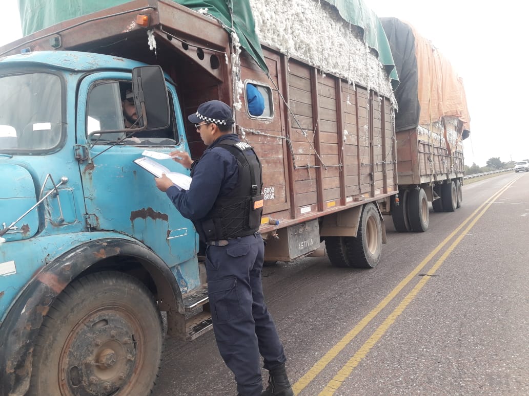 TRANSPORTE DE ALGODÓN CON IRREGULARIDADES EN LA MEDIDAS DE SEGURIDAD La caída permanente de productos a la vera de la ruta, favorecen la germinación de las denominadas plantas guachas que generan el desarrollo de plagas como el picudo algodonero cuya emergencia se halla declarada