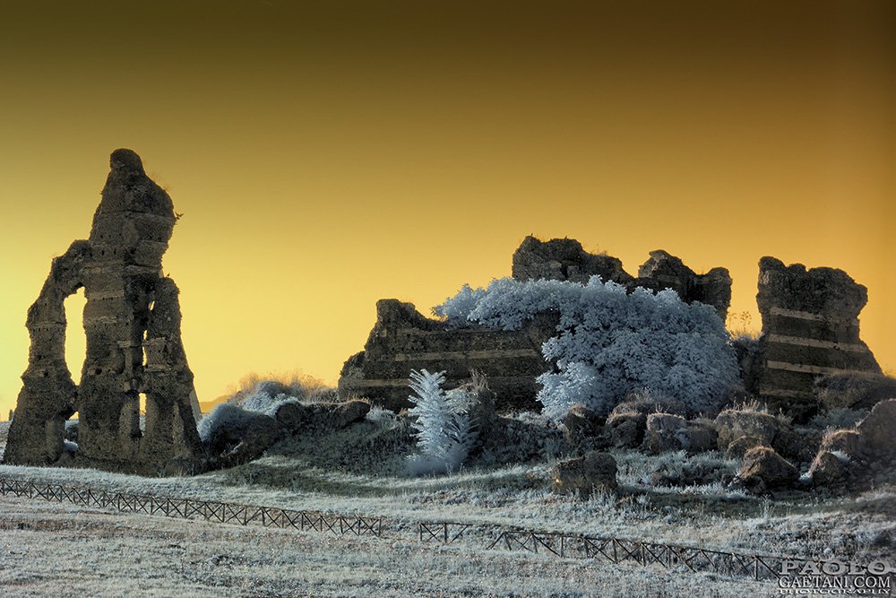 Follow4FollowIT's tweet image. FOLLOW 4 #FOLLOW

#Seguimi #sigueme #seguir #followme
#suivezmoi #suivre #folgemir #folgen
#sigame #takipet #volgmij #follobackinstantly
#FF #TrapaDrive #GainWithPyeWaw
#MolueFollowRush #NaijaFollowTrain
#GainSyifa #Gainpost #Gaintrain #GainWithXola