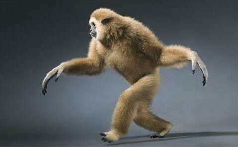 dynamicvista's tweet image. We #FullyIn on these haters. #TouchMyBlood went gold