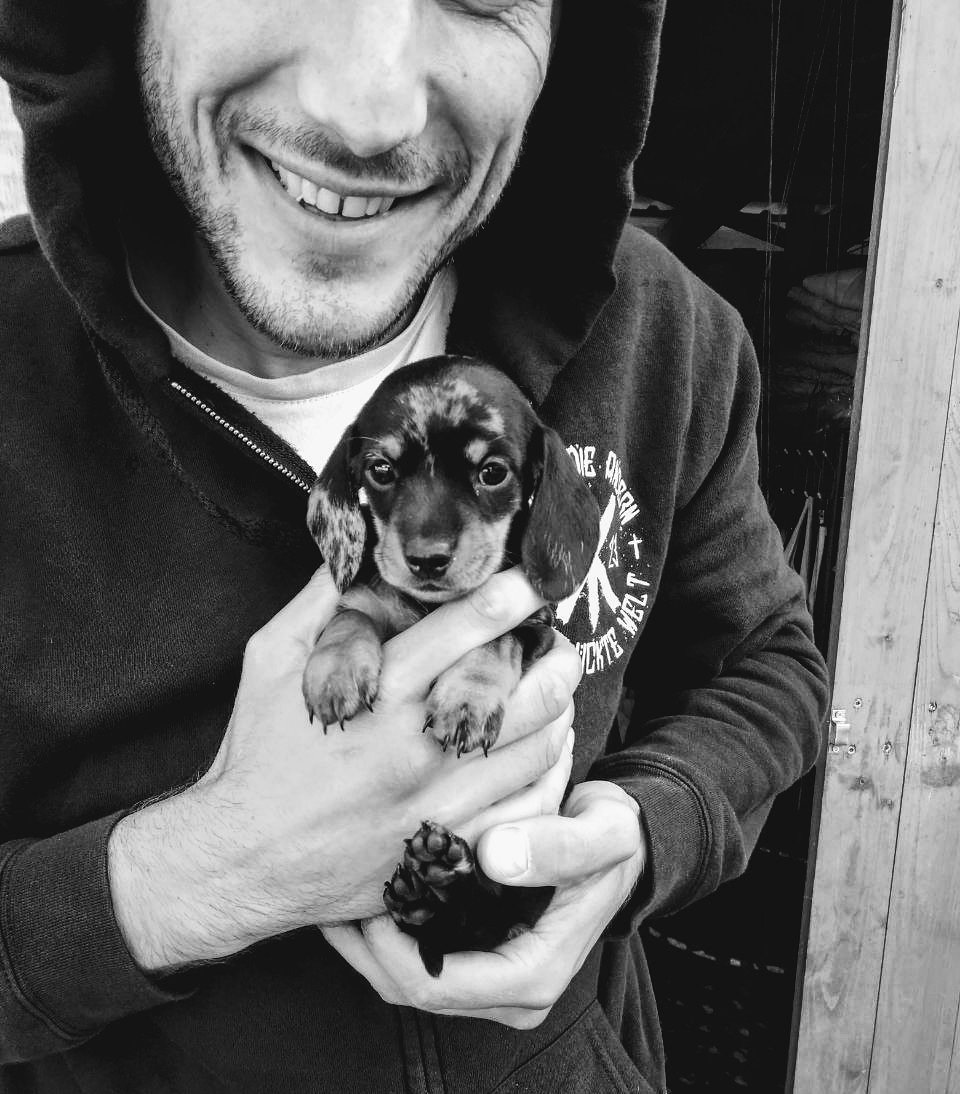 Swiss666 tweet media