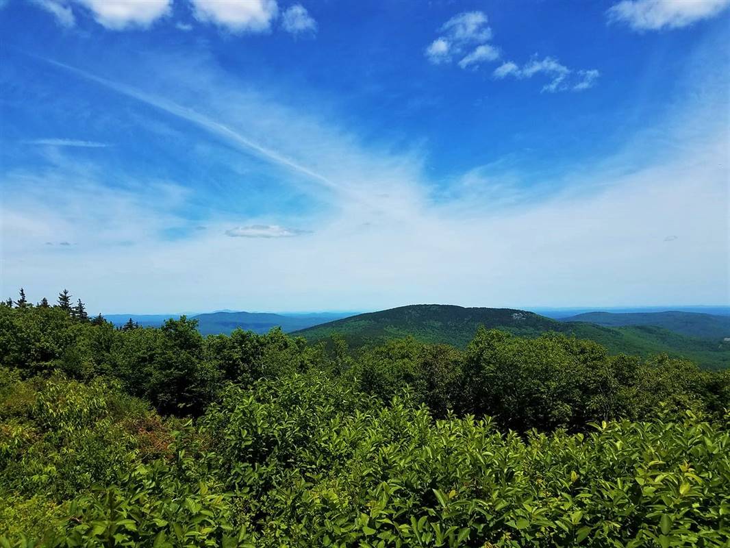 Trails's tweet photo. That view though ... 😍😍😍 https://t.co/yUtIqxwbLD #hiking #camping #backpacking #PackMonadnock #MillerStatePark #monadnock #nh #newhampshire https://t.co/dXq6tlqYbg