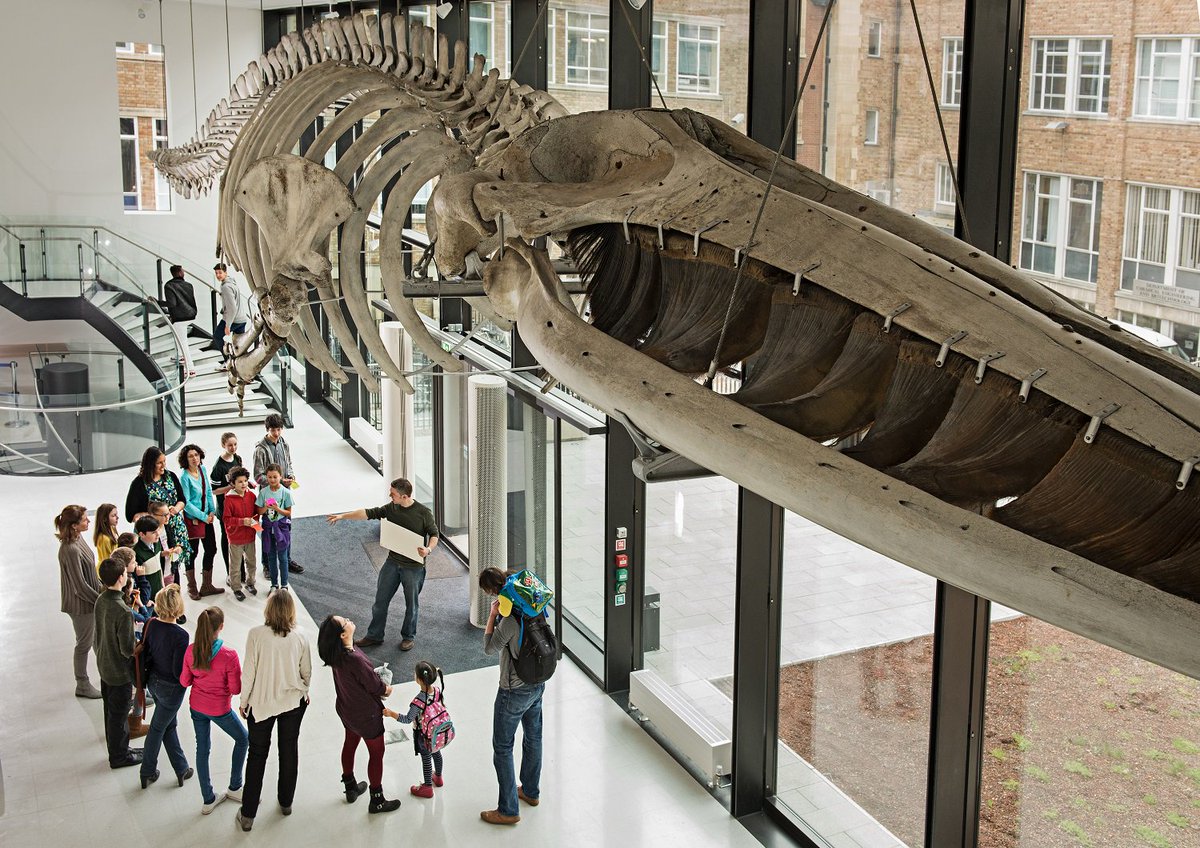 университет зоологии