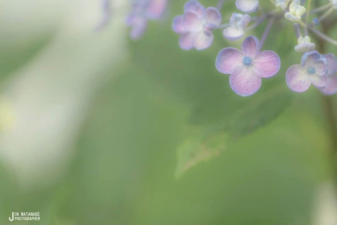 ﾜﾝﾀﾞﾌﾙﾈｲﾁｬｰｳﾞｨﾚｯｼﾞ Twitter Search Twitter