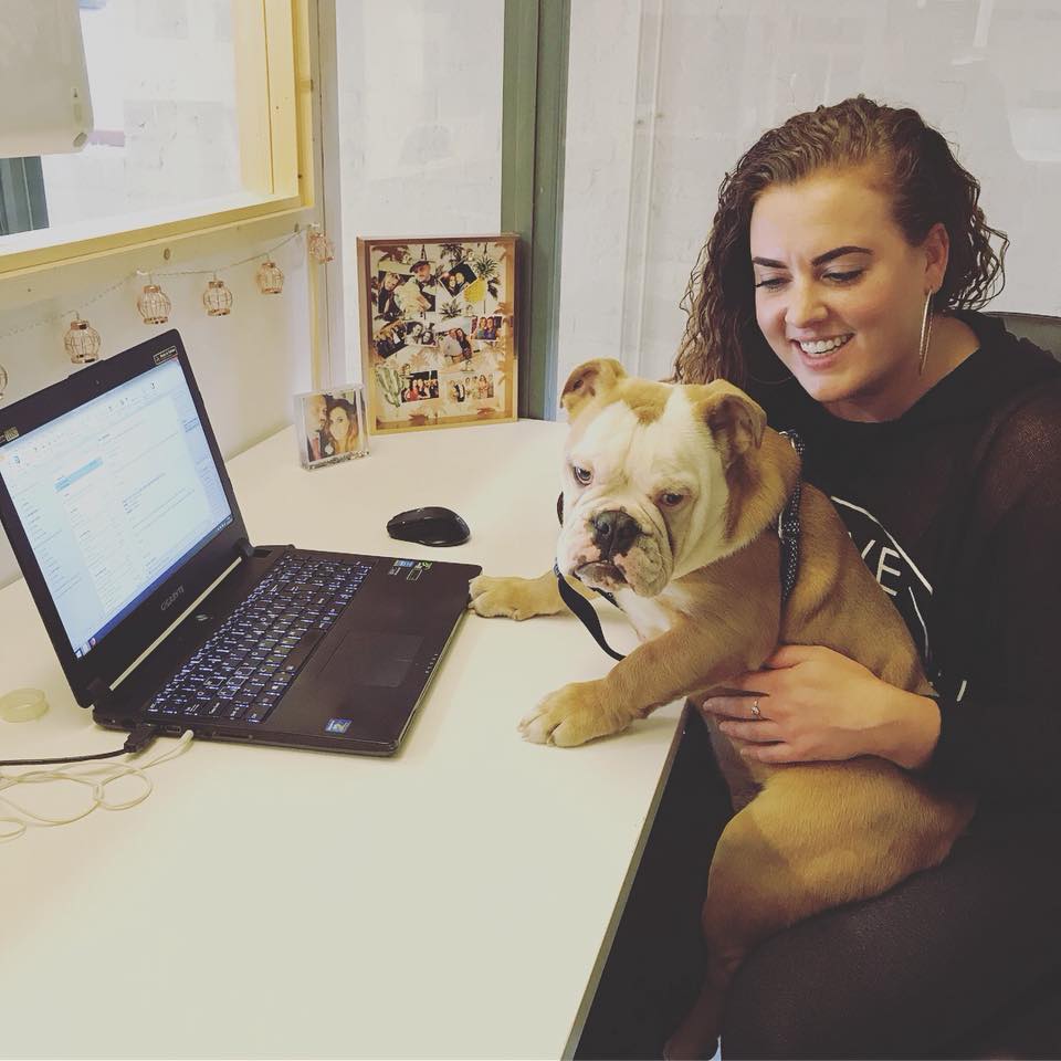 Wilson Bio-Chemical tweet media