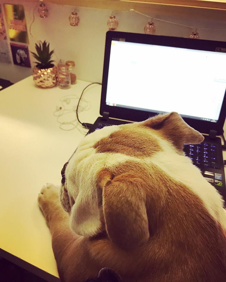 Wilson Bio-Chemical tweet media