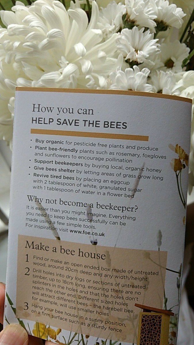 sarahlovesorg's tweet image. Day 5 of our Team #buzzweek, raising awareness about bees &amp;amp; helping to save 100,000 this week - our mission! Thank you for 'Bee-ing Lovely' this week &amp;amp; trying out products from our family friendly range, supporting projects by Bees for Development, Plant life &amp;amp; more #savethebees