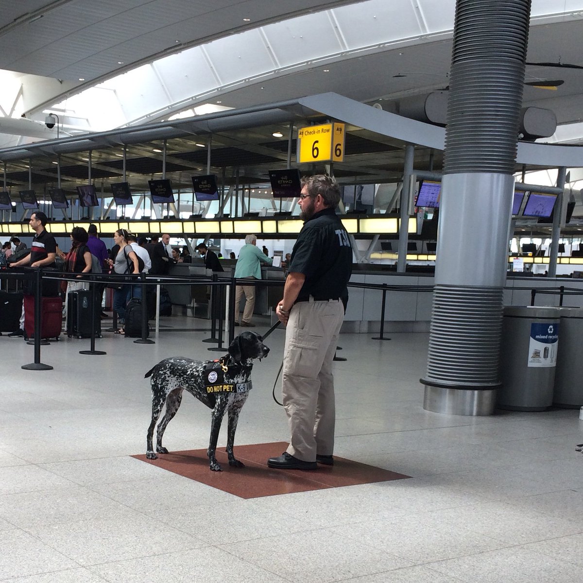 Here at <a href="/JFKairport/">John F. Kennedy Airport</a>, we’re grateful for the work our air travel partner’s K9 unit does on behalf of the traveling public. Thanks <a href="/TSA/">TSA</a> doggies 🐶

#TakeYourDogToWorkDay