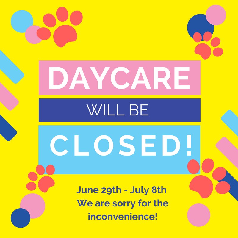 PPRCuster's tweet image. Just a reminder, over the July 4th holiday daycare will be closed! We will reopen daycare on July 9th! Have a fun and safe holiday! 🇺🇸🎇😍