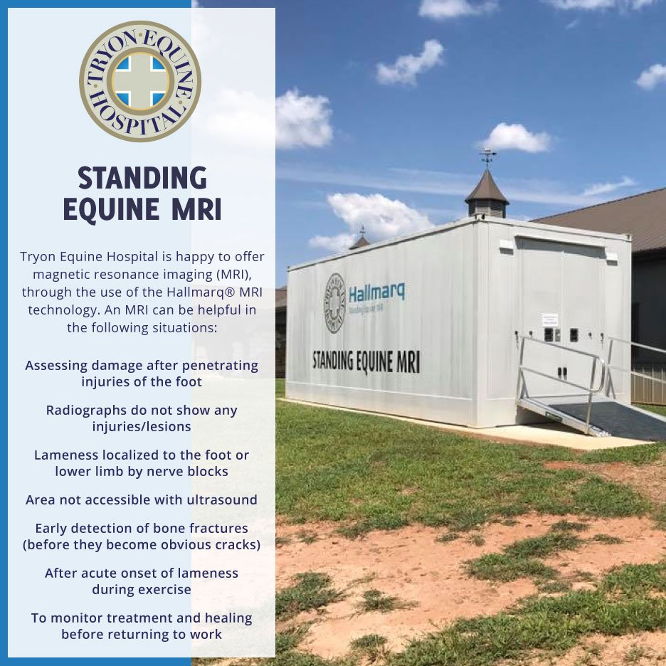 TryonEquine's tweet image. Tryon Equine Hospital is happy to offer magnetic resonance imaging (MRI), through the use of the Hallmarq® MRI technology. For more information check out the following link - goo.gl/YAbZUX