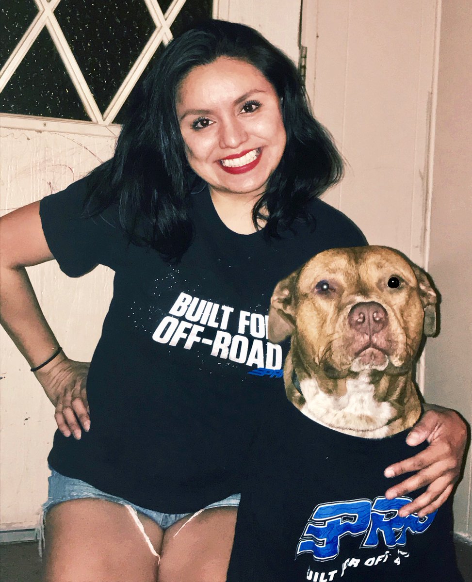 PRPSeats's tweet image. Today is #takeyourdogtoworkday! Check out just a few of our proud dog owners…