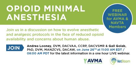 VetBloom tweet media