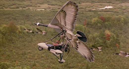 ブラックカフェ グース 渡り鳥 を救う実話を基に 母を亡くし疎遠だった父とカナダの農場で暮らし始める少女の成長物語 失敗しながらも渡り鳥と一緒に飛び越冬地に導くシーンを親の様な気持ちで応援したり 悩む彼女を見て家族とぶつかった過去の自分を