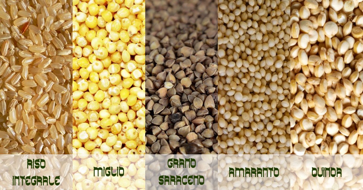 4Prevent's tweet image. Quali sono i cereali #senzaglutine ?

Per evitare problemi di #celiachia o #intolleranze si possono consumare altri cereali che non lo contengono, come miglio, quinoa, grano saraceno, amaranto; sono tutti cereali integrali con basso indice glicemico e...
prevent4you.it/it/blog/quali-…