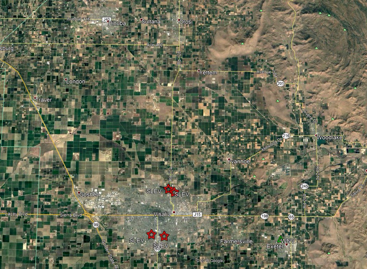 DeltaMVCD's tweet image. El virus del nilo occidental ha sido detectado en muestras de #mosquitos en Exeter, y el virus de la encefalitis de St. Louis ha sido detectado en muestras de mosquitos en Visalia. #WNV #ExeterCA #SLE #Visalia