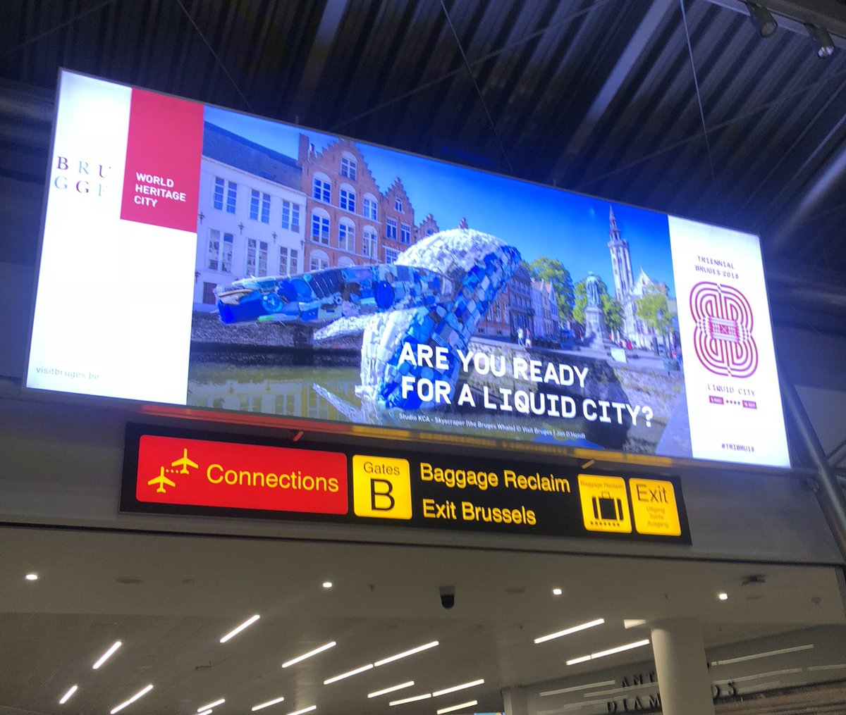 Michiel Vanroose tweet media